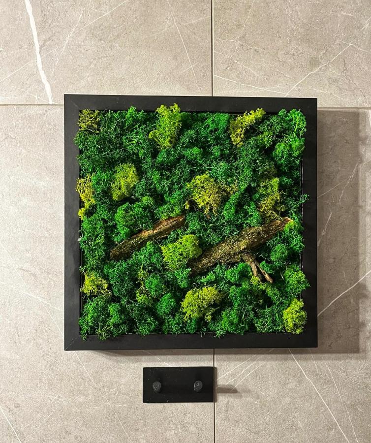 Moje Pieniny Apartament Szczawnica Exteriér fotografie